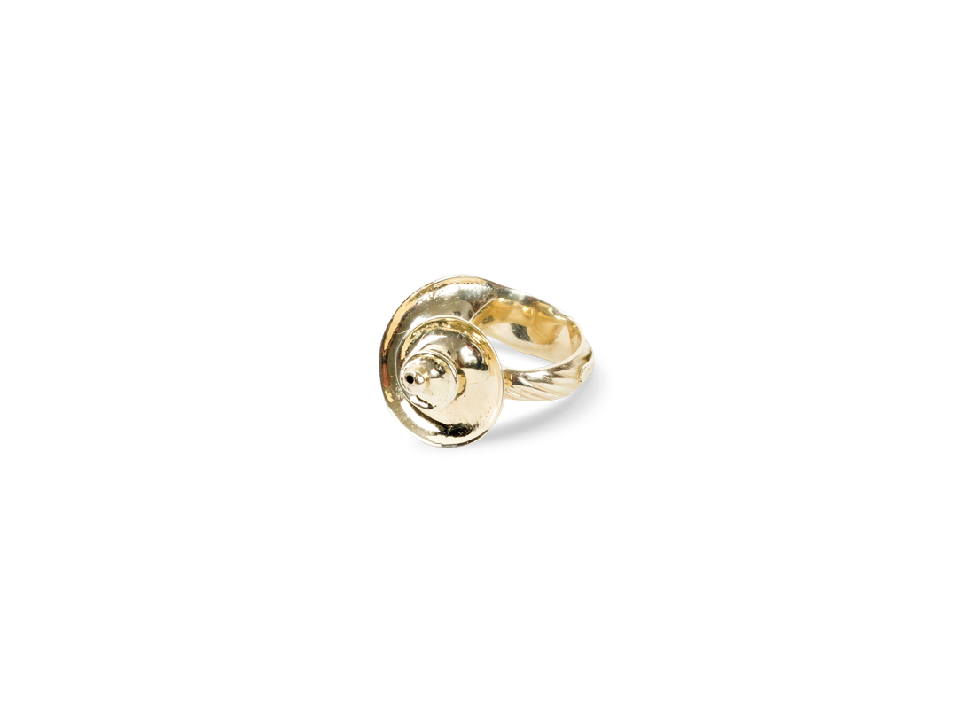 Shell ring gold slide