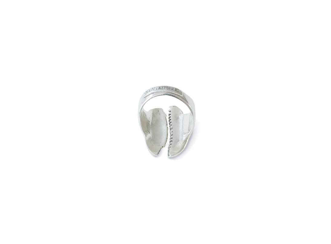 Kauri Ring Silver slide